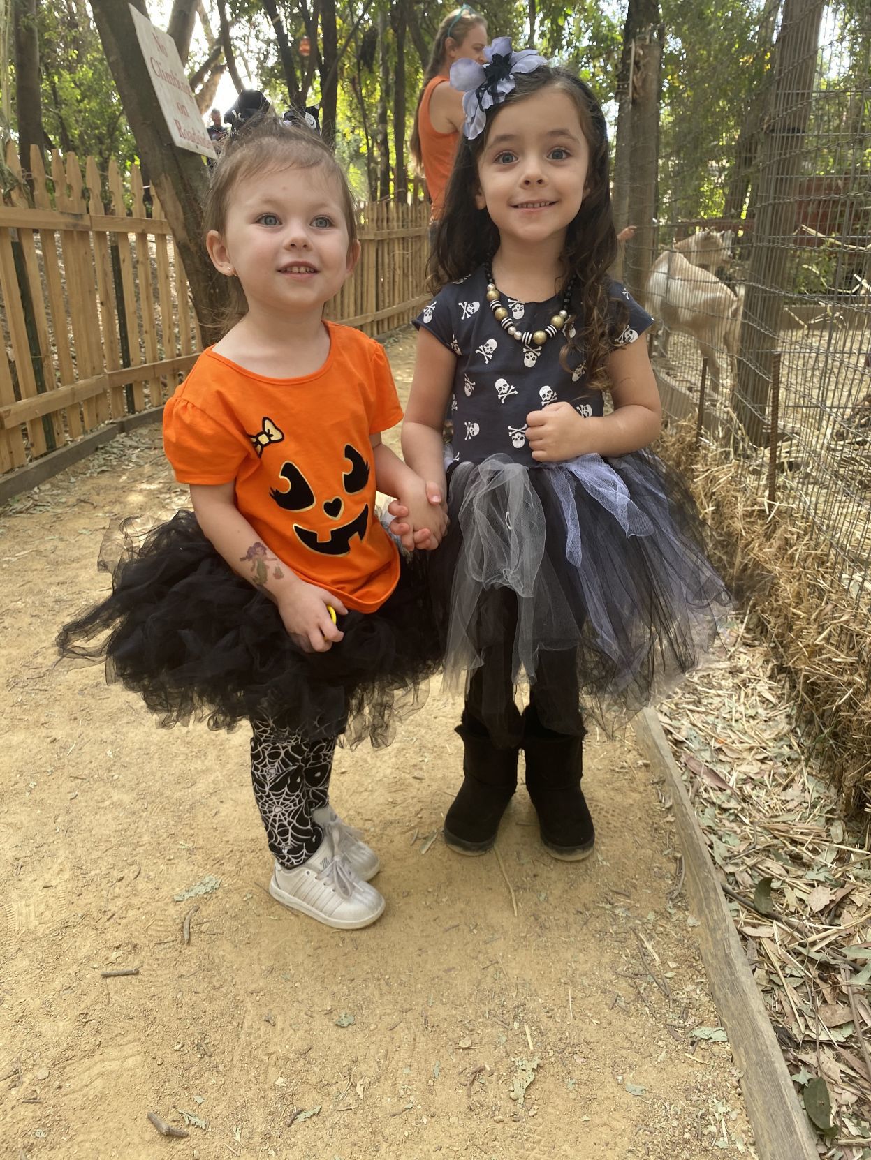 Picking Pumpkins 2019